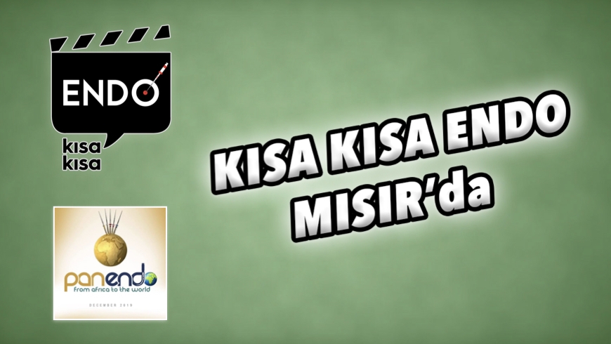 Kısa Kısa Endo Mısır'da